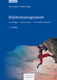 Risikomanagement - Ute Vanini - E-Book