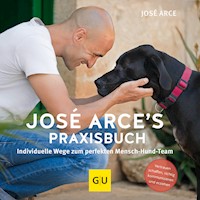 José Arce's Praxisbuch - José Arce - E-Book