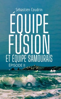 Équipe fusion et équipe samouraïs - Sébastien Coudrin - E-Book