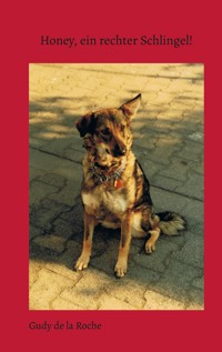 Honey, ein rechter Schlingel! - Gudy de la Roche - E-Book