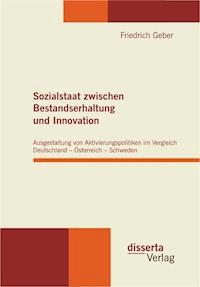 Sozialstaat zwischen Bestandserhaltung und Innovation - Friedrich Geber - E-Book
