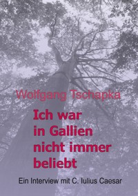 Ich war in Gallien nicht immer beliebt - Wolfgang Tschapka - E-Book