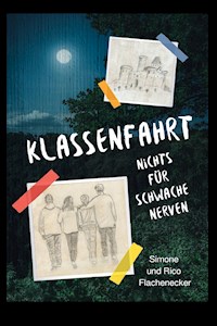 Klassenfahrt - Nichts für schwache Nerven - Simone Flachenecker - E-Book