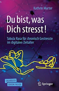 Du bist, was Dich stresst! - Kathrin Marter - E-Book