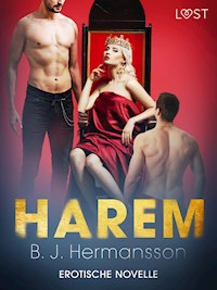 Harem - Erotische Novelle - B. J. Hermansson - E-Book