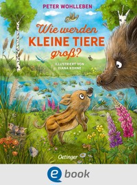 Wie werden kleine Tiere groß? - Peter Wohlleben - E-Book