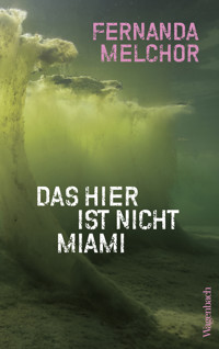 Das hier ist nicht Miami - Fernanda Melchor - E-Book