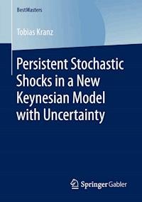Persistent Stochastic Shocks in a New Keynesian Model with Uncertainty - Tobias Kranz - E-Book