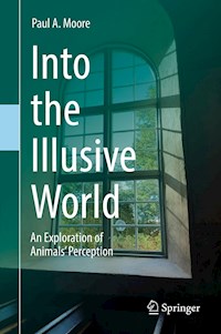 Into the Illusive World - Paul A. Moore - E-Book