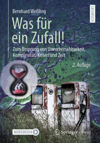 Was für ein Zufall! - Bernhard Weßling - E-Book