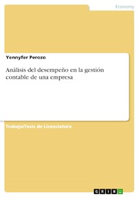 Análisis del desempeño en la gestión contable de una empresa - Yennyfer Perozo - E-Book
