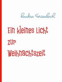 Ein kleines Licht zur Weihnachtszeit - Sandra Terzenbach - E-Book