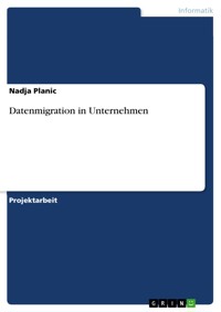 Datenmigration in Unternehmen - Nadja Planic - E-Book