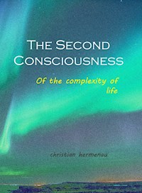 The Second Consciousness - Christian Hermenau - E-Book