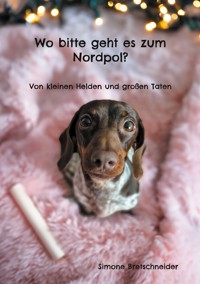 Wo bitte geht es zum Nordpol? - Simone Bretschneider - E-Book