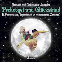 Pechvogel und Glückskind. 5 Märchen aus "Träumereien an französischen Kaminen" - Richard von Volkmann-Leander - Hörbuch