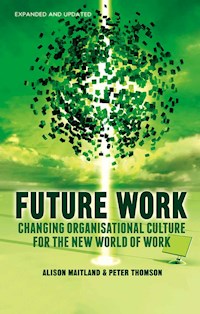 Future Work (Expanded and Updated) - A. Maitland - E-Book