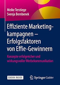Effiziente Marketingkampagnen – Erfolgsfaktoren von Effie-Gewinnern - Meike Terstiege - E-Book