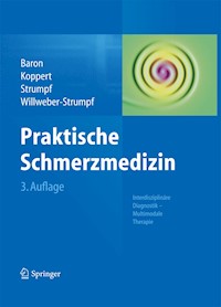 Praktische Schmerzmedizin - - E-Book