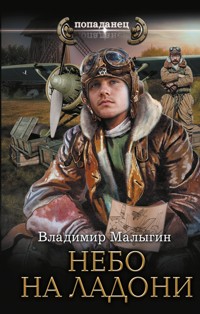 Небо на ладони - Владимир Малыгин - E-Book