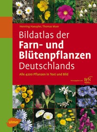 Bildatlas der Farn- und Blütenpflanzen Deutschlands - Henning Haeupler - E-Book