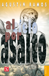 Al cielo por asalto - Agustín Ramos - E-Book