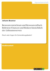 Ressourcenreichtum und Ressourcenfluch. Boliviens Chancen und Risiken hinsichtlich der Lithiumreserven - Johann Boemer - E-Book