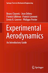 Experimental Aerodynamics - Bruno Chanetz - E-Book