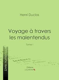 Voyage à travers les malentendus - Ligaran - E-Book