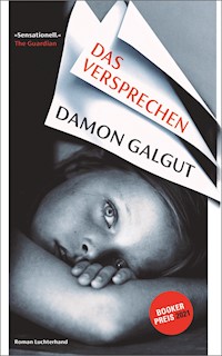 Das Versprechen - Damon Galgut - E-Book
