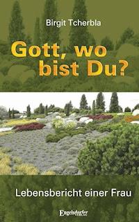 Gott, wo bist Du? - Birgit Tcherbla - E-Book