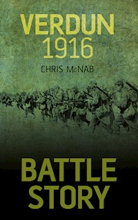 Battle Story: Verdun 1916 - Chris McNab - E-Book