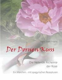 Der Dornen Kuss - Hans-Josef Fritschi - E-Book