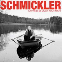 Ich weiss es doch auch nicht - Wilfried Schmickler - Hörbuch
