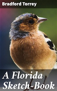 A Florida Sketch-Book - Bradford Torrey - E-Book