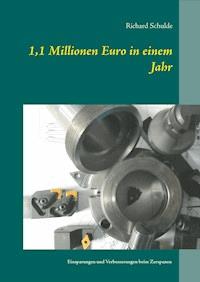 1,1 Millionen Euro in einem Jahr - Richard Schulde - E-Book