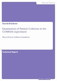 Examination of Particle Collisions in the COMPASS experiment - David Brückner - E-Book