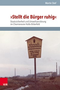 »Stellt die Bürger ruhig« - Martin Stief - E-Book