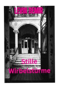 Stille Wirbelstürme - Levin Demir - E-Book