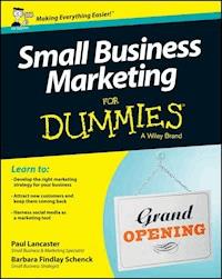 Small Business Marketing For Dummies - Paul Lancaster - E-Book