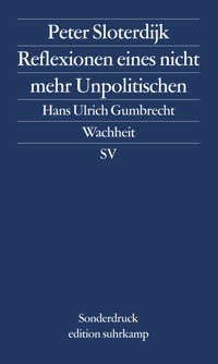 Reflexionen eines nicht mehr Unpolitischen - Peter Sloterdijk - E-Book