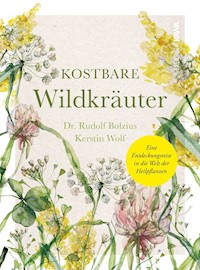 Kostbare Wildkräuter - Dr. Rudolf Bolzius - E-Book