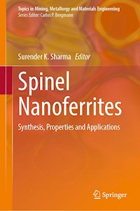 Spinel Nanoferrites -  - E-Book