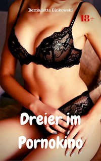 Dreier im Pornokino - Bernadette Binkowski - E-Book