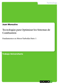 Tecnologías para Optimizar los Sistemas de Combustión - Juan Monsalve - E-Book