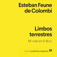 Limbos terrestres - Esteban Feune de Colombi - Hörbuch