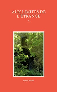 Aux limites de l'étrange - Daniel Durand - E-Book