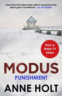 Punishment - Anne Holt - E-Book