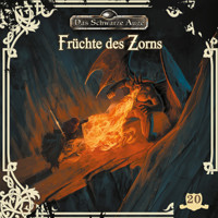 Das schwarze Auge, Folge 20: Früchte des Zorns - Kristina Lohfeldt - Hörbuch