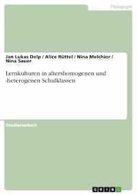 Lernkulturen in altershomogenen und -heterogenen Schulklassen - Jan Lukas Delp - E-Book